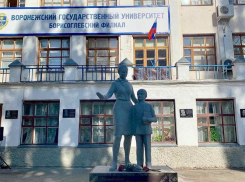 Воронежским педагогам высшей школы в 2027 году планируют проиндексировать зарплату 