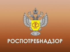 В Борисоглебске начинает работу консультационный пункт Роспотребнадзора