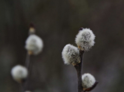 В Воронежскую область нагрянет похолодание
