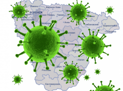  В Борисоглебске, как и по всей  Воронежской области, идет атака гриппа