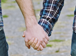 Власти Воронежской области срочно передумали изучать гомосексуалистов