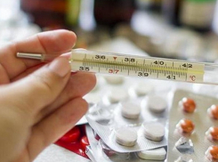 За неделю из-за гриппа и ОРВИ к врачам обратились 19 тыс жителей Воронежской области