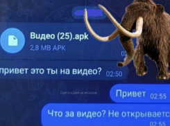 Житель Грибановского района потерял 30 тысяч рублей из-за вредоносного вируса 