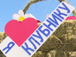 В Грибановском районе прошёл фестиваль «Клубничная поляна»