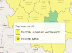 Жёлтый уровень опасности объявлен в Воронежской области из-за мокрого снега и тумана 