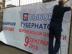 Борисоглебск готовится к выборам губернатора области