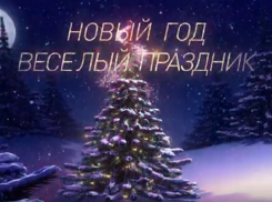 Налоговики поздравили борисоглебцев с наступающим и рассказали, как сохранить праздник, в видеоролике