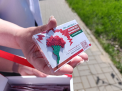 Увидишь такой значок - купи обязательно:  акция «Красная гвоздика» стартовала в районах Воронежской области
