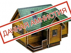 Жителей Воронежской области предупреждают о скором окончании «Дачной амнистии»