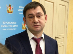 Ведущий федеральный политолог предрек скорую отставку спикера Воронежской областной Думы