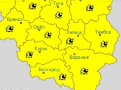 Желтый уровень опасности объявили в Воронежской области из-за погоды