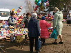 Торговцев цветами разогнали с борисоглебского кладбища 