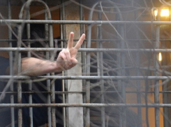 В Борисоглебске заключенному исправительной колонии прислали стиральный порошок с сюрпризом