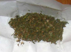 Сверток с марихуаной изъяли полицейские у местного жителя в Грибановском районе