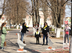 В Борисоглебске прошел семейный спортивный праздник