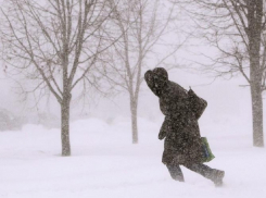 Жителей Воронежской области предупредили об опасном усилении ветра