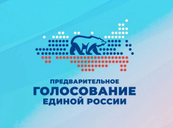 «Единая Россия» определилась с кандидатами в Борисоглебскую городскую Думу