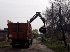 Борисоглебцев призвали придерживаться графика вывоза мусора