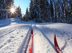 Лыжники Борисоглебска дали достойный «бой»