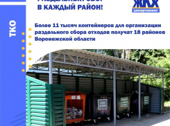 Борисоглебск не получит контейнеров для раздельного сбора мусора 