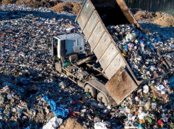 Двадцать четыре тысячи кубометров опасных отходов незаконно закопали под Борисоглебском