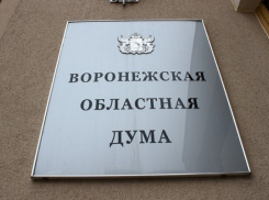 В Воронежской области для людей предпенсионного возраста хотят сохранить действующие пенсионные льготы