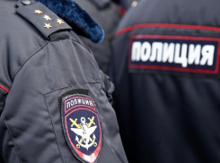 Двух борисоглебских хулиганов привлекут к ответственности за «наплевательство» на полицейских