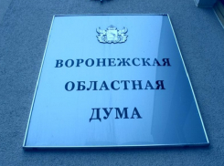Депутаты Воронежской облдумы законодательно запретят продажу снюса в регионе