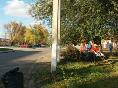 В Борисоглебске месячник благоустройства близится к завершению