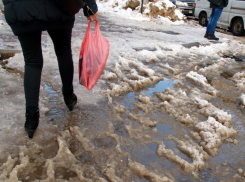 Плюсовые температуры и снег с дождем придут в Борисоглебск в конце недели
