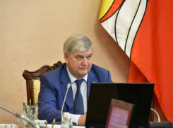 Губернатор Воронежской области обещал рассмотреть послабления учреждениям культуры и спорта