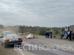 Грузовик сбил стадо коров в Воронежской области