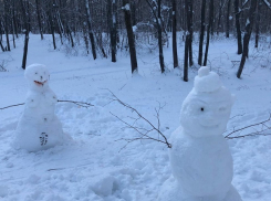 В лесу под Борисоглебском обнаружили «озабоченных» снеговиков 