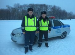 Грибановские инспекторы ГИБДД спасли замерзающего на трассе водителя