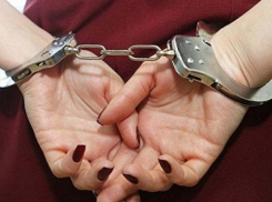 Грибановские полицейские задержали курьера мошенников прямо в доме жертвы 