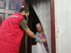 Программа волонтерской поддержки пенсионеров возобновляется в Воронежской области