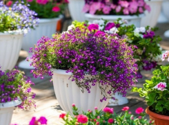 Школьники из Новохопёрска стали лауреатами международного фестиваля «Moscow Flower Show-2018»