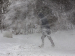 О мощном ветре предупредили жителей Воронежской области спасатели