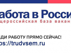 Борисоглебцам стало проще найти работу