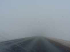 Желтый уровень опасности ввели из-за тумана в Воронежской области