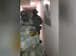 Украинскую диверсантку задержали в Воронеже при подготовке теракта