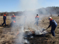 В Воронежской области на две недели раньше введут противопожарный режим