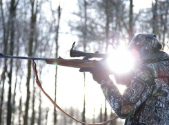  Дикая охота: в Воронежской области любители пострелять более 500 раз нарушили закон 