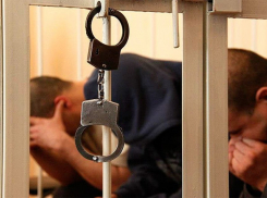 В Грибановке вынесли приговор  участникам преступной группы
