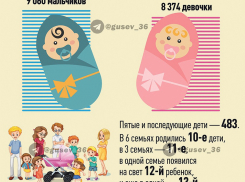 Губернатор Воронежской области  рассказал о росте многодетных семей, но умолчал о сокращении населения региона 
