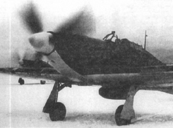 В Воронежской области нашли сбитый в 1942 году самолет и останки летчика