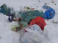 Новохоперцы пожаловались на неубранный коммунальщиками мусор