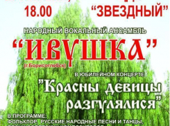Борисоглебцев приглашают на вечер русской народной песни