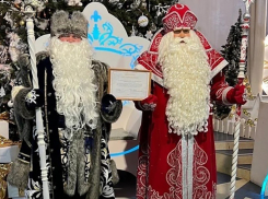 Два Деда Мороза (Российский и Воронежский) подписали соглашение о сотрудничестве