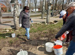 Борисоглебцам напомнили график вывоза мусора в месячник благоустройства